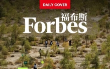 和7亿棵树一起穿越周期：蚂蚁森林与7亿人的长期主义