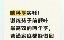 脑科学实锤！锻炼孩子前额叶最高效的两个字，普通家庭都能做到