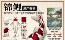 世界上最贵的十大观赏鱼，第一名能换一套房