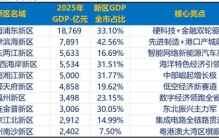 2025年中国10大国家级新区GDP指标排名