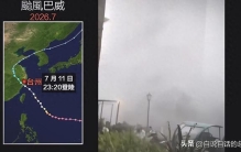 生蚝：浑身黑科技，还能杀台风？根本就像前文明的黑科技