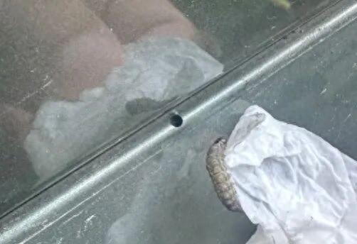 车上莫名其妙出现小圆洞,不少人已“中招”,专家提醒