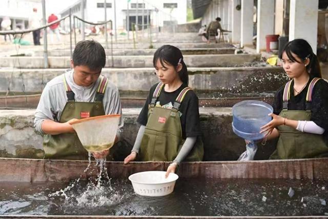 鱼苗“游”全国 人才回乡来
