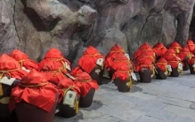 山东白酒排名前十名