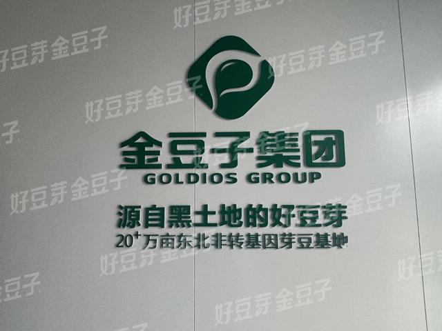 清水豆芽：不止是干净，读懂种子自我新生的植物密码