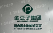清水豆芽：不止是干净，读懂种子自我新生的植物密码