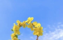 情感爆文：世界上最温暖的两个字是“我在”
