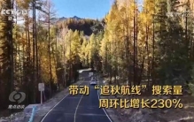 国庆假期丰富游玩体验 多元场景激发消费活力