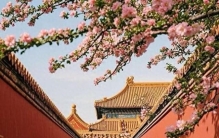 国内十大必去景点盘点：故宫登顶，敦煌喀纳斯最值得专程一去