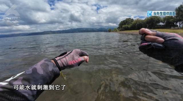 别碰!昆明男子被咬伤,半小时内全身皮疹、呼吸困难,看到立刻上报