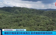 超60家企业发涨价函！汽车重要部件，原料价格暴涨