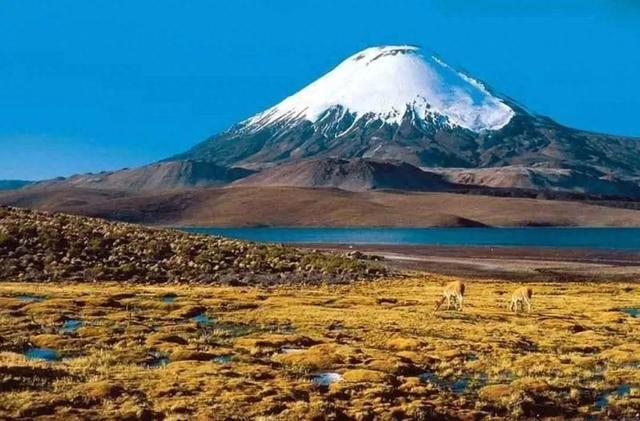 世界十大最高的火山