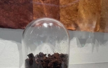 从薯莨到香云纱，一块植物根茎的蜕变之旅