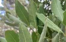 商人出身的管仲，把商业定为末