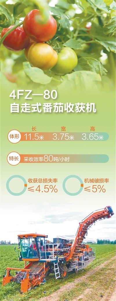 造一台更懂番茄的收获机(身边的创新·想不到的中国农机)