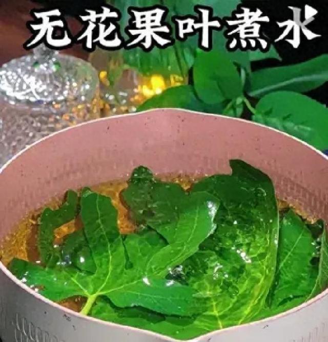 谁家有无花果树?止痒祛湿疹,比药膏还好用,无花果叶别扔了!