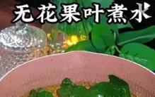 谁家有无花果树？止痒祛湿疹，比药膏还好用，无花果叶别扔了！