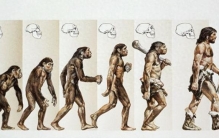 中国发现的古人类化石，最早的距今204万年