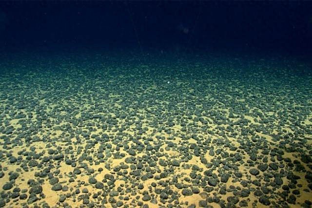 中国科学家在世界最大海底金属矿藏中发现11700种新型病毒