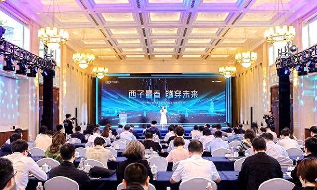 第二届量子科技前沿峰会杭州开幕 7位中外院士坐镇 从原理走向实用