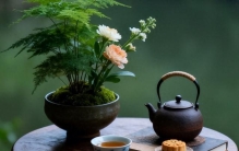 世界十大著名顶尖大学简述