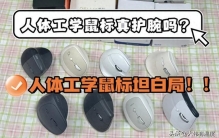 2026罗技、西圣、多彩、英菲克等鼠标热销品牌年度大横评来了