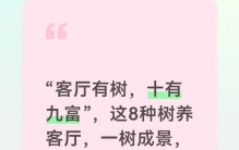 “客厅有树，十有九富”，这8种树养客厅，一树成景，真是太绝了