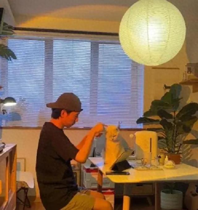 当生理需求被2万块的机器人满足后,谁还愿意去相亲过凑活日子?
