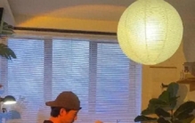 当生理需求被2万块的机器人满足后，谁还愿意去相亲过凑活日子？