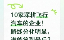 10家深耕飞行汽车的企业！路线分化明显，谁能笑到最后？