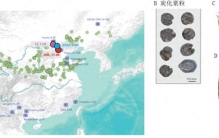 我国科学家揭示中国北方早期粟作人群的本地起源