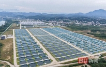 开局之年看中国·潮涌荆楚丨清江鲟鱼谷建成全球最大鱼子酱加工厂