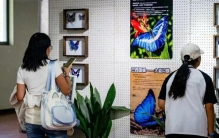 足不出“沪”，看遍美洲“世界之最”《美洲昆虫标本展》倒计时