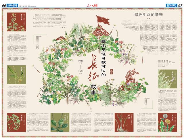 草木见证！这些野草野菜，陪红军走过长征
