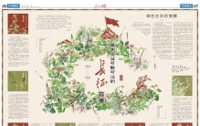 草木见证！这些野草野菜，陪红军走过长征
