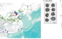 最早开始利用和栽培小米的人群，从何而来？