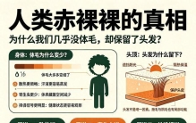 人类赤裸裸的真相：我们为何全身几乎没有体毛，却保留了头发？
