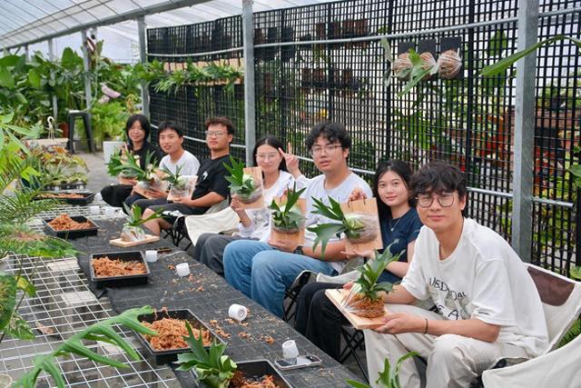 年轻人愿意为稀奇植物买单成为消费新趋势 小众植物长出大商机