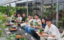 年轻人愿意为稀奇植物买单成为消费新趋势 小众植物长出大商机