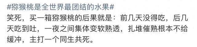 “猕猴桃是全世界最团结的水果”上热搜?网友:太真实!总是硬硬硬……烂了!
