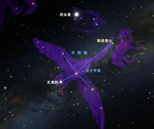 天文冷知识之 天鹅座